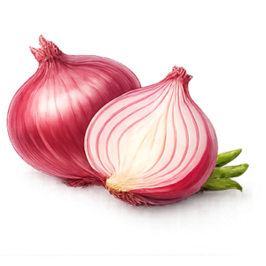 Fresh Onion