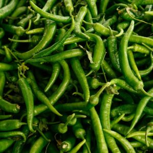 Green chili long
