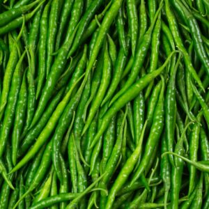 Green chillies bird